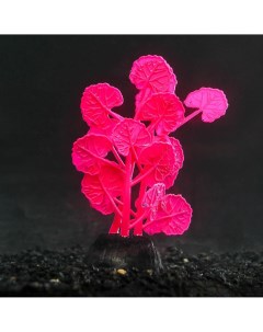Растение силиконовое аквариумное светящееся в темноте 7 х 11 см розовое Nobrand
