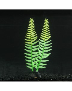 Растение силиконовое аквариумное светящееся в темноте 8 х 23 см зеленое Nobrand