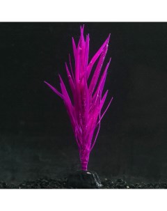Растение силиконовое аквариумное светящееся в темноте 7 х 12 5 см фиолетовое Nobrand