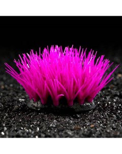 Растение силиконовое аквариумное светящееся в темноте 6 5 х 6 5 см фиолетовое Nobrand