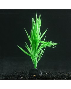 Растение силиконовое аквариумное светящееся в темноте 7 х 12 5 см зеленое Nobrand