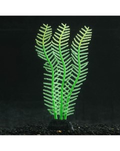 Растение силиконовое аквариумное светящееся в темноте 4 5 х 15 см зеленое Nobrand
