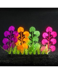 Растение силиконовое аквариумное светящееся в темноте 16 х 11 см разноцветное Nobrand