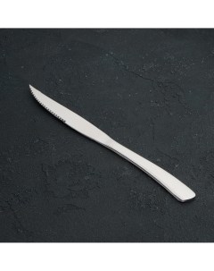 Нож для стейка из нержавеющей стали Magistro