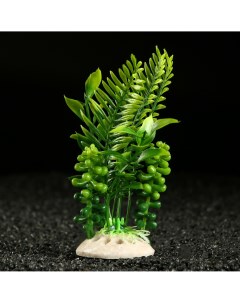 Растение искусственное аквариумное 18 х 9 х 14 см зеленое Пижон аква