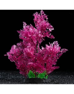 Растение искусственное аквариумное 28 см фиолетовое Пижон аква