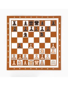 Демонстрационные шахматы 60 х 60 см Время игры