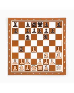 Демонстрационные шахматы 40 х 40 см Время игры
