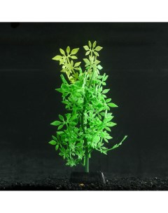 Растение силиконовое аквариумное светящееся в темноте 8 х 19 см зеленое Nobrand