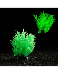 Растение искусственное аквариумное светящееся 10 см зеленое Пижон аква