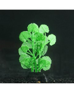 Растение силиконовое аквариумное светящееся в темноте 7 х 11 см зеленое Nobrand