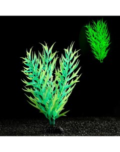 Растение искусственное аквариумное светящееся 20 см зеленое Пижон аква