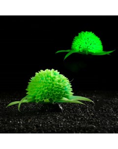 Растение шар искусственное аквариумное светящееся 9 см зеленое Пижон аква