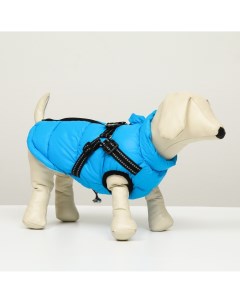 Куртка для собак со шлейкой размер 18 дс 40 см ог 50 см ош 38 см лазурная Nobrand