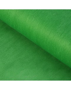 Фетр однотонный зеленый 50 см x 15 м Upak land