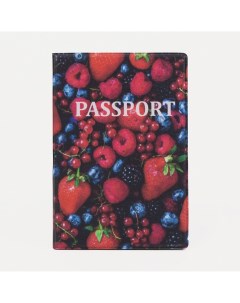 Обложка для паспорта цвет красный синий Nobrand