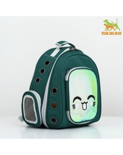 Рюкзак для переноски животных с окном для обзора зеленый Пижон
