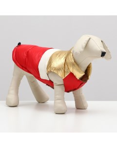 Куртка для собак с утяжкой размер 10 дс 25 ог 34 ош 24 золото красная Nobrand