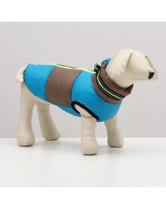 Куртка для собак с ошейник размер 10 дс 25 см ог 34 см ош 24 см серо голубая Nobrand