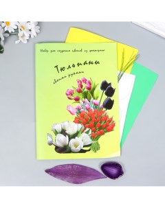 Набор для создания цветов из фоамирана Nobrand
