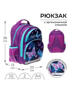 Рюкзак школьный 36 х 23 х 13 см эргономичная спинка п Calligrata