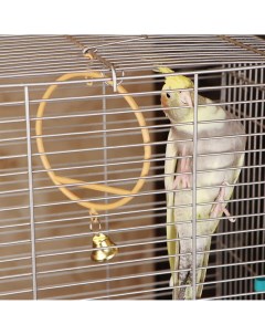 Качели для птиц круглые d 11 5 см с колокольчиком бежевые Пижон