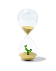Часы песочные Monterey Кактус 30 минут Wd lifestyle