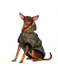 Куртка с меховым капюшоном для собак XS зеленый унисекс Rurri