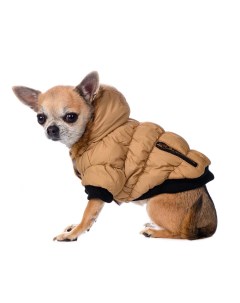Куртка с меховым капюшоном для собак XS бежевый унисекс Rurri
