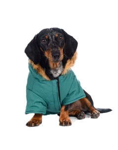 Куртка приталенная с меховым капюшоном для собак XL зеленый унисекс Rurri