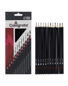 Набор карандашей чернографитных 12 штук твердость 2н 8в граненные заточенные в картонной коробке Calligrata