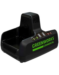 Зарядное устройство G82C2 2939007 Greenworks