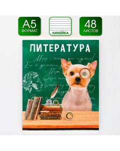 Предметная тетрадь 48 листов Artfox study