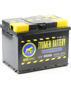 Аккумуляторная батарея Tyumen battery