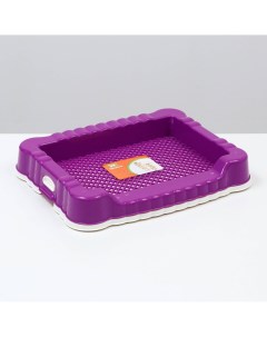 Туалет для собак с высоким бортом 47 х 36 х 7 см фиолетовый Пижон