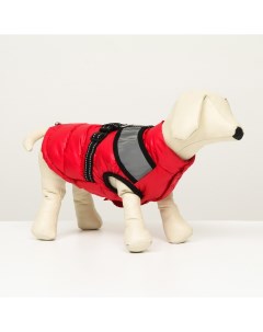 Куртка для собак со светоотражающей шлейкой размер 16 дс 36 ог 46 ош 35 красная Пижон