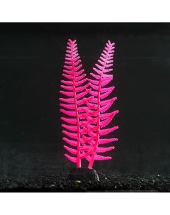 Растение силиконовое аквариумное светящееся в темноте 8 х 23 см розовое Nobrand