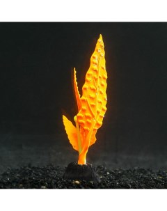 Растение силиконовое аквариумное светящееся в темноте 5 х 14 см оранжевое Nobrand