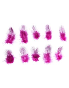 Набор перьев для декора 10 шт размер 1 шт 5 2 см цвет розовый с черным Nobrand
