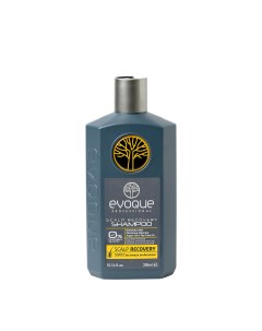 Шампунь для восстановления кожи головы против выпадения и перхоти Scalp Recovery Shampoo 300 мл Evoque professional