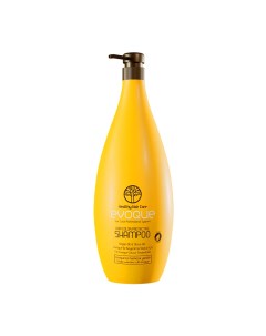 Шампунь очищающий защита цвета для волос Hair Color Purification Shampoo 1000 мл Evoque professional