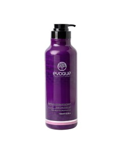 Шампунь для нейтрализации желтизны идеальный блонд Flawless Blonde Purple Shampoo 1000 мл Evoque professional