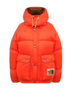 Пуховик The North Face x Gucci