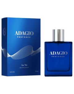 Туалетная вода для мужчин LA VIE Adagio Profondo Объем 100 мл Dilis parfum