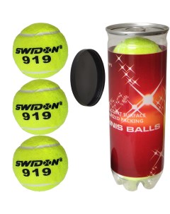 Мячи для большого тенниса Swidon 919 3 штуки в тубе E29379 Nobrand
