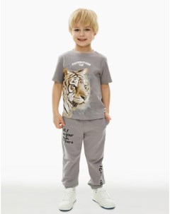 Серая футболка с тигром для мальчика Gloria jeans