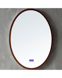 Зеркало Stein 55 AS6610BR с подсветкой с многофункциональной панелью Abber