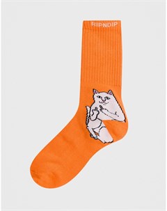 Оранжевые носки с котом Нермалом RIPNDIP Rip n dip