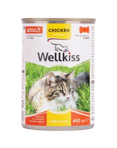Влажный корм консервы для кошек нежные кусочки с курицей в желе 410 гр Wellkiss
