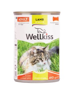Влажный корм консервы для кошек нежные кусочки с ягненком в желе 410 гр Wellkiss